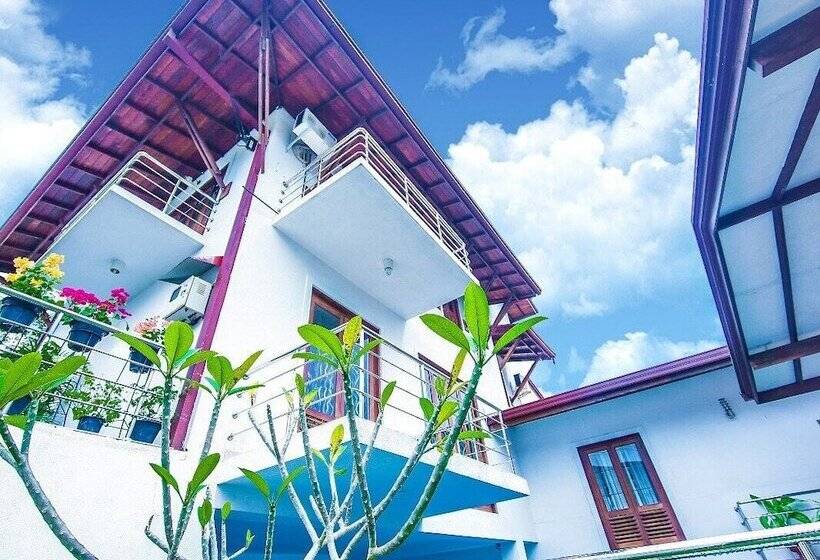 بنسيون Ayansa Villa