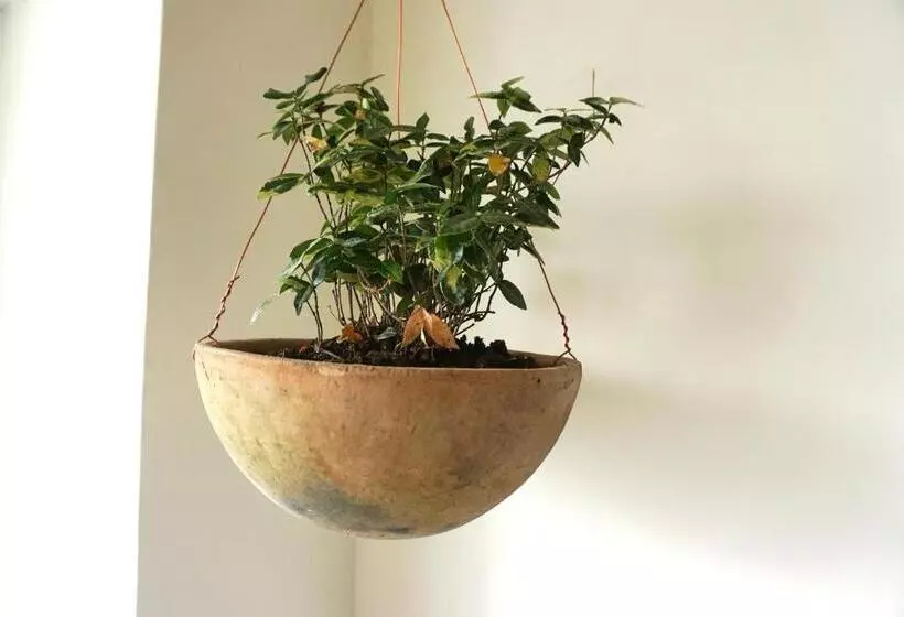 ペンション Casa Morelos By Barrio Mexico