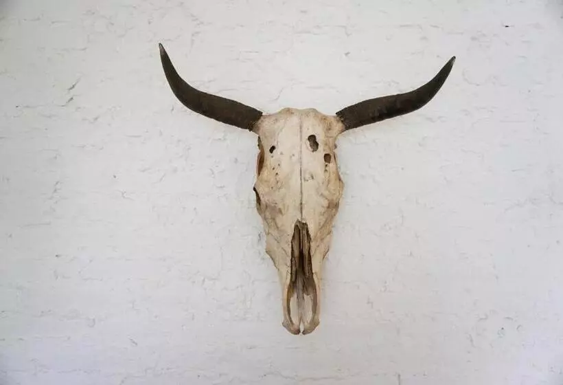 ペンション Casa Morelos By Barrio Mexico