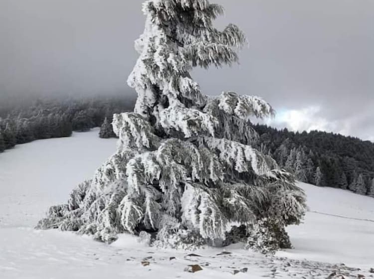 Пансион Gîte Dayet Chiker