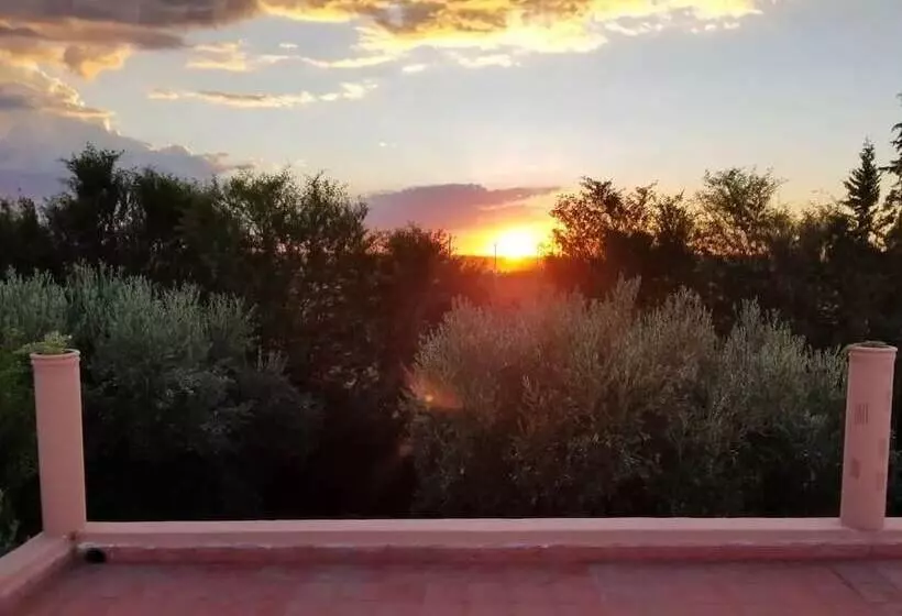 Majatalo Koom A Farm And A Retreat Center