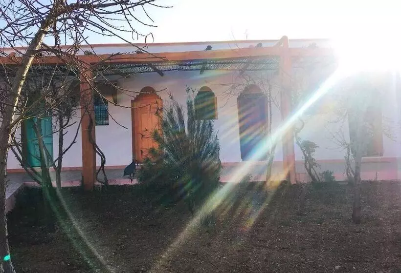 Majatalo Koom A Farm And A Retreat Center