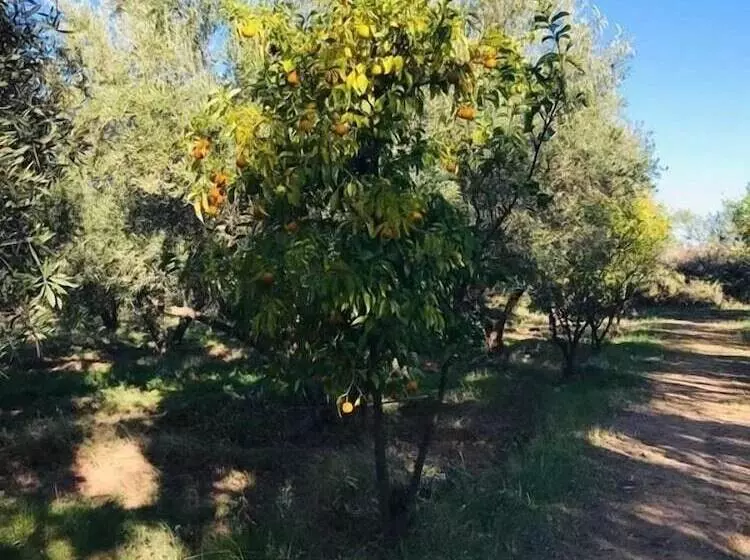 Majatalo Koom A Farm And A Retreat Center