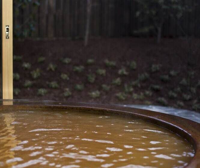 Ryokan Gokuraku Onsen Takumi No Yado