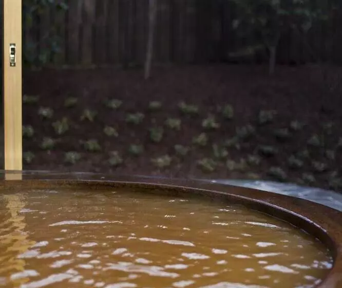 旅館 Gokuraku Onsen Takumi No Yado