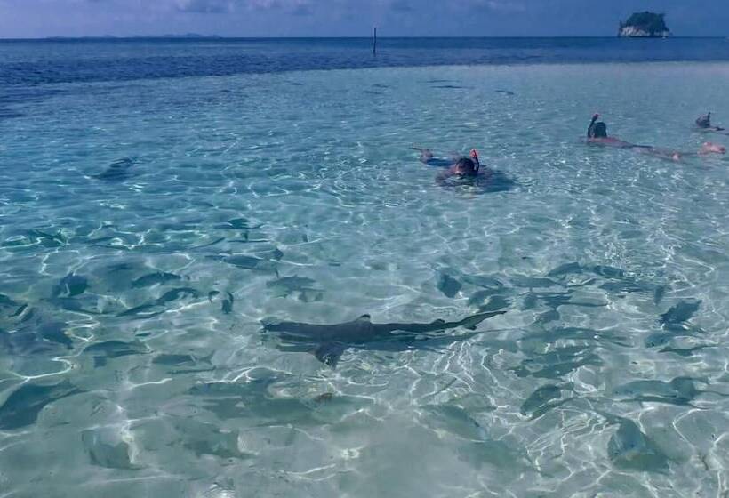 צימר Sea Fans Raja Ampat