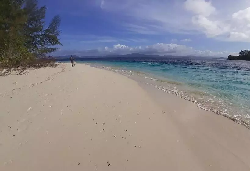 Aamiaismajoitus (B&B) Sea Fans Raja Ampat