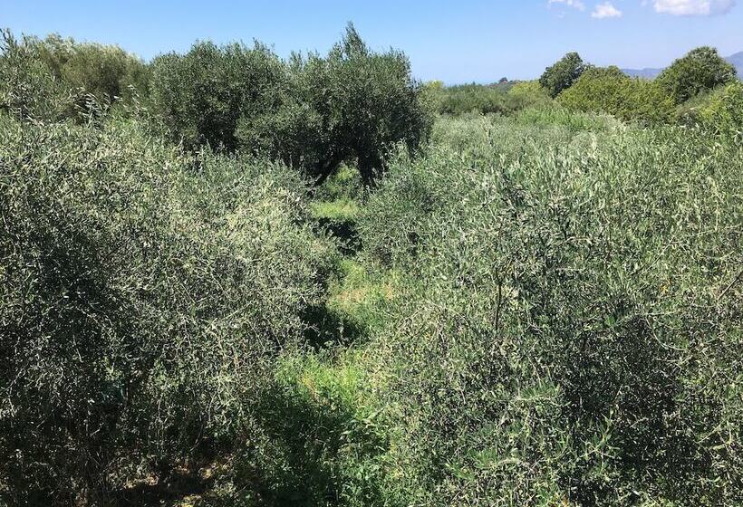 住宿加早餐  Stone House