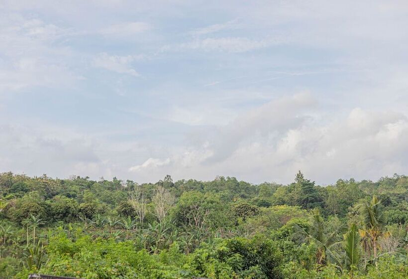 ベッドアンドブレックファースト The Sweet Corn Bungalow