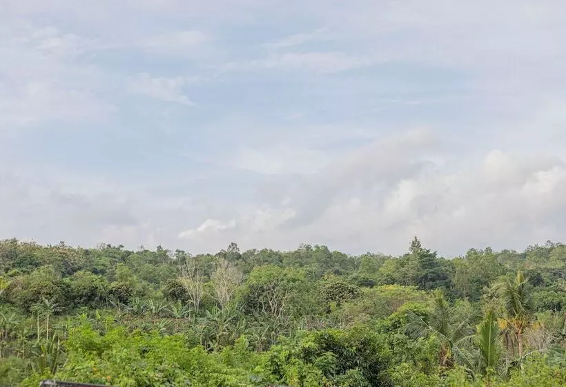 Aamiaismajoitus (B&B) The Sweet Corn Bungalow