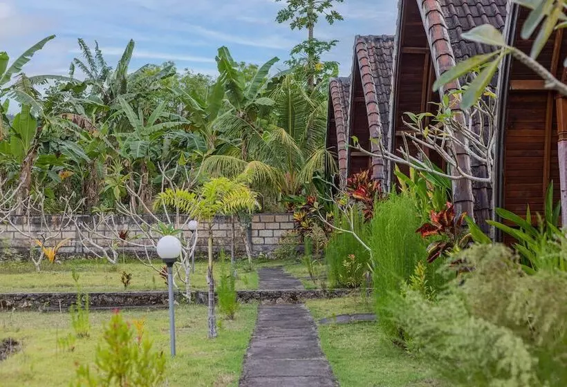 Aamiaismajoitus (B&B) The Sweet Corn Bungalow