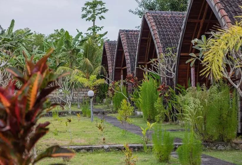 Aamiaismajoitus (B&B) The Sweet Corn Bungalow