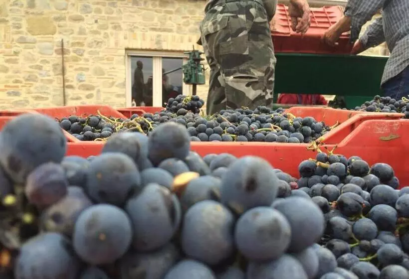 田舎風ホテル Azienda Agricola Perconti