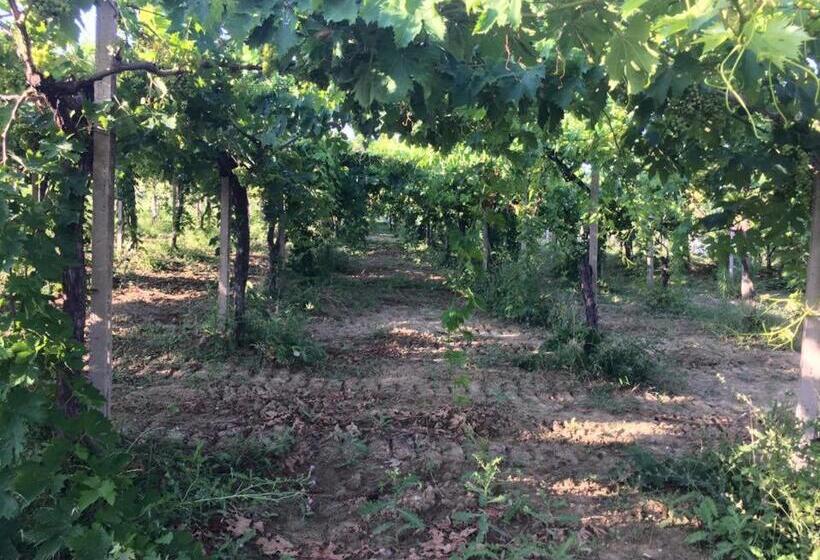 בית מלון כפרי Azienda Agricola Perconti