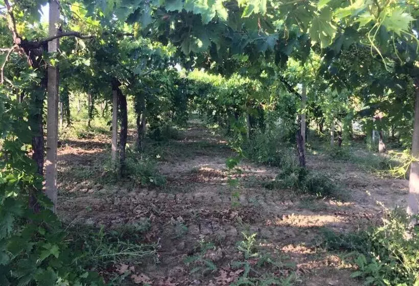 田舎風ホテル Azienda Agricola Perconti