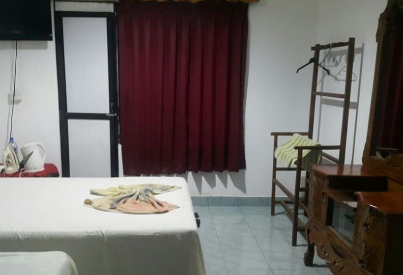 Пансион Palm Hill Guest House