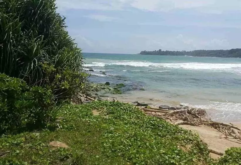 Majatalo Palm Hill Guest House