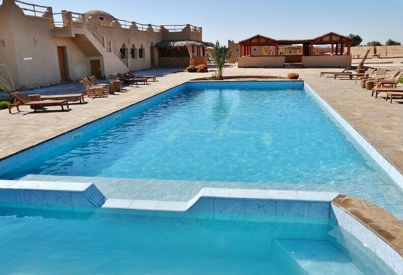 Pension Tifina Caravanserail D'arfoud