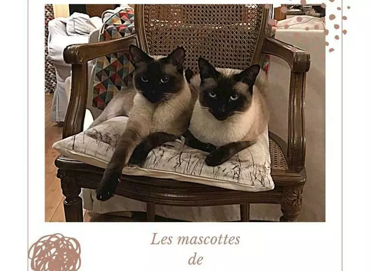 Aamiaismajoitus (B&B) L Escale En Beauce