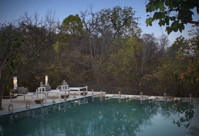 酒店 Pashangarh Panna National Park