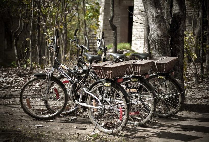 酒店 Pashangarh Panna National Park