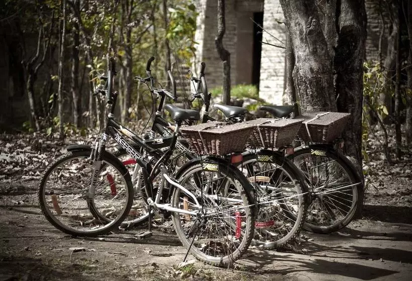 Hotelli Pashangarh Panna National Park