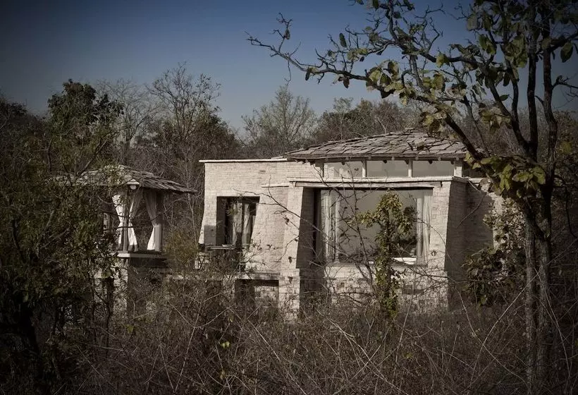 Hotelli Pashangarh Panna National Park