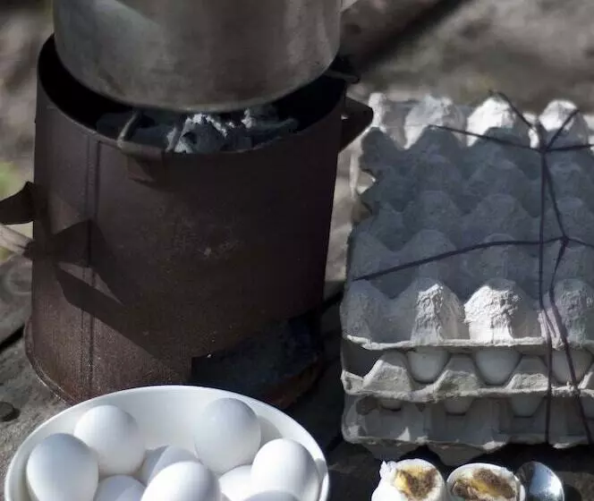 Hotelli Pashangarh Panna National Park