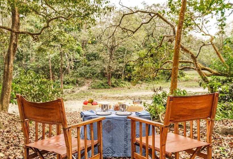 酒店 Pashangarh Panna National Park