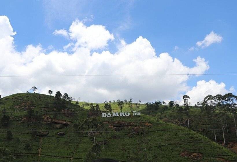 Отель Taylors Hill Boutique