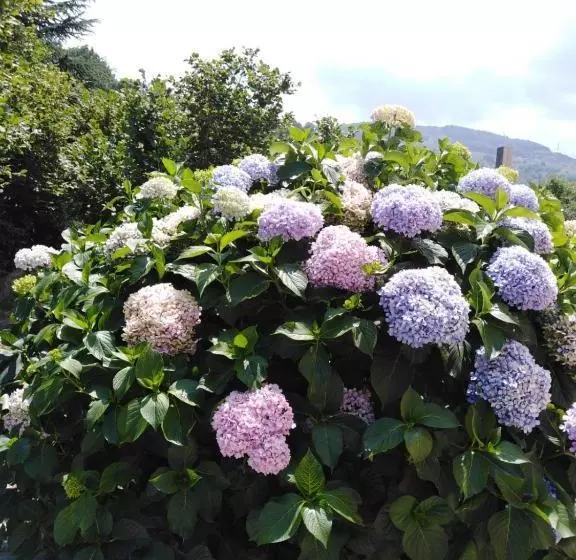 La Quercia Agriturismo Fondachelli Fantina