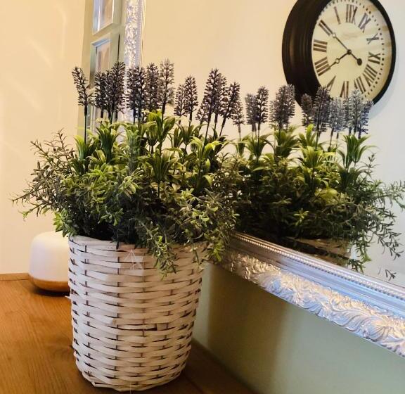 Bed and Breakfast Aude Escape