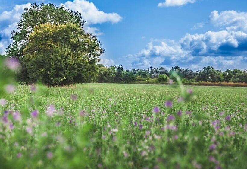 Bed and Breakfast Le Petit Nançay