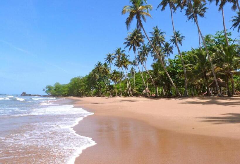 فندق Ankobra Beach Resort