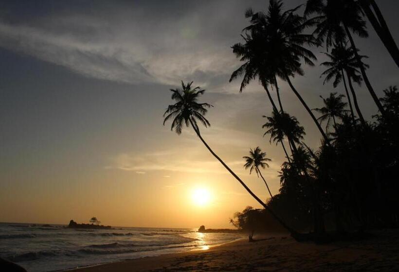 فندق Ankobra Beach Resort