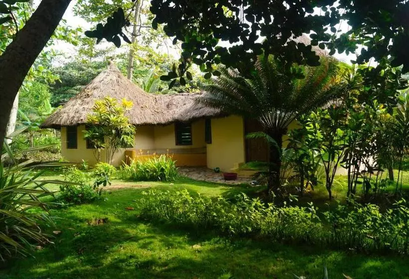 ホテル Ankobra Beach Resort