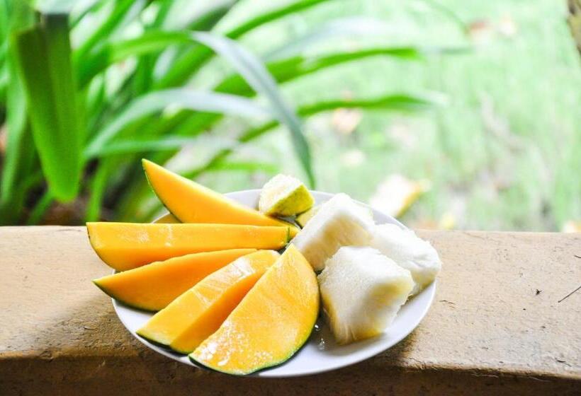 فندق Ankobra Beach Resort