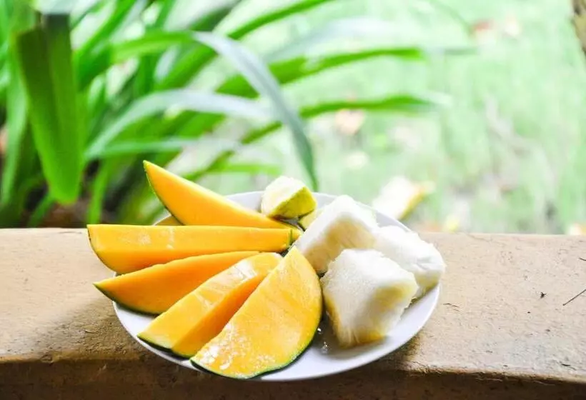 ホテル Ankobra Beach Resort