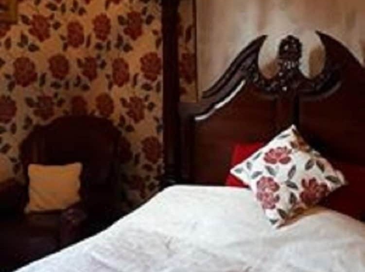 호텔 Hallgreen Castle