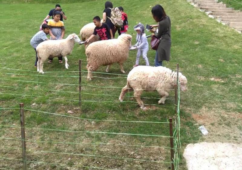 Kea Valley Hotel Apartment