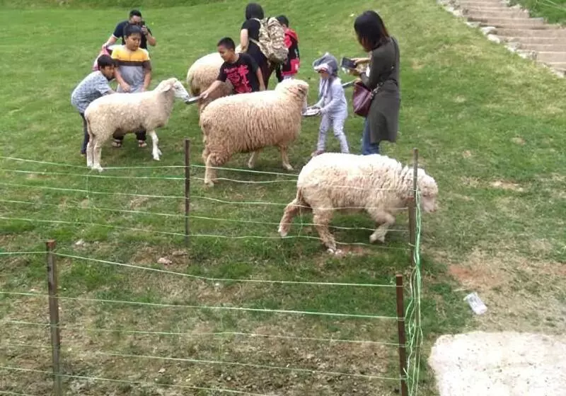 Kea Valley Hotel Apartment