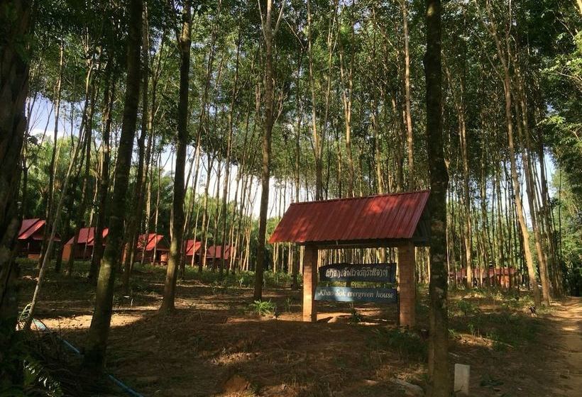 Отель Khao Sok Evergreen House