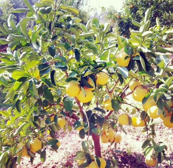 فندق & Spa La Ferme El Dar