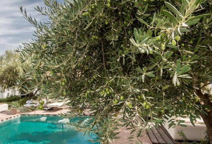 فندق & Spa La Ferme El Dar