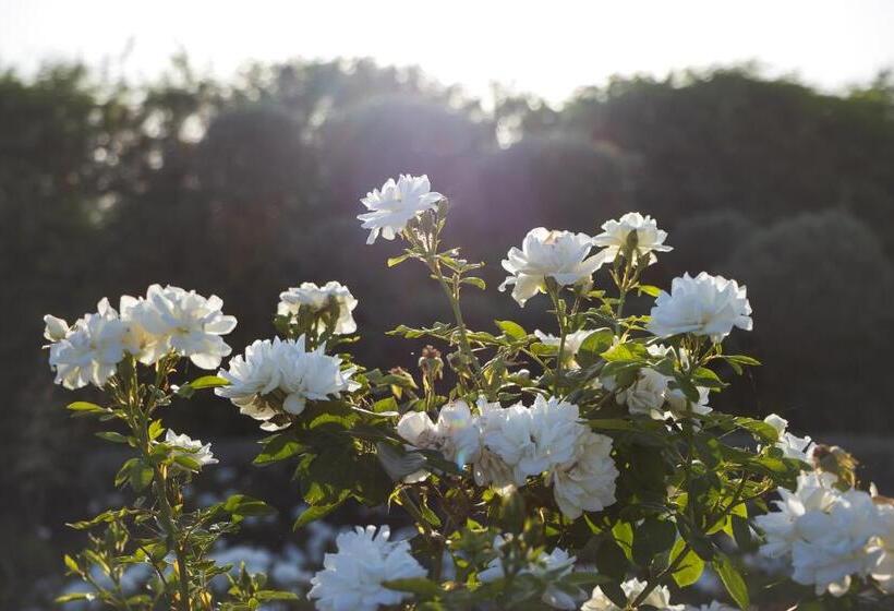 فندق & Spa La Ferme El Dar