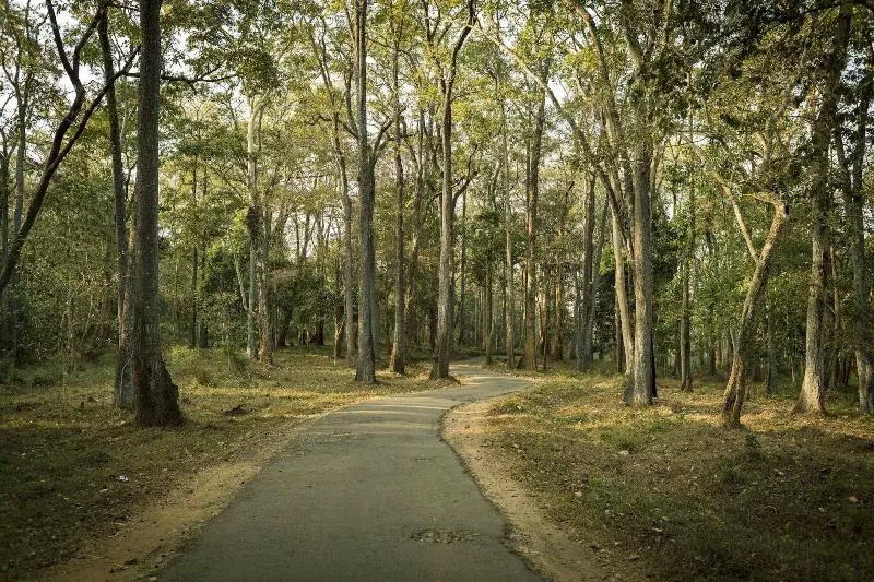 Hotelli Sterling Wayanad