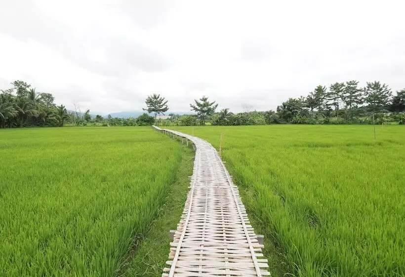 ホテル Ton Lang Homestay