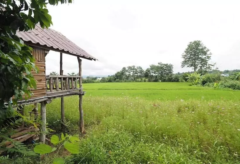 ホテル Ton Lang Homestay