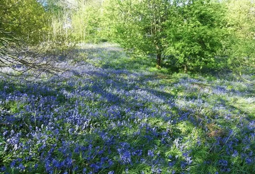 Majatalo Clerk Laithe Lodge