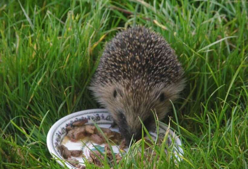 ペンション Clerk Laithe Lodge